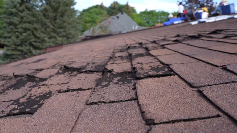 Reliable Moncks Corner, SC Roofing Service Solutions